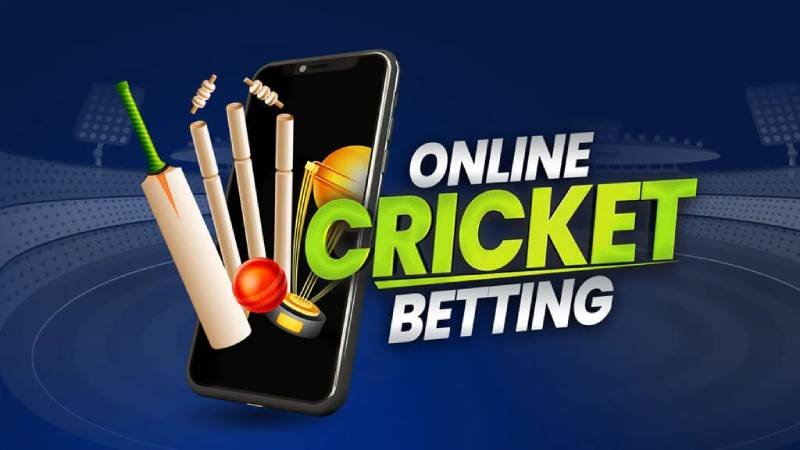 Live cricket betting interface